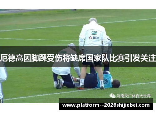厄德高因脚踝受伤将缺席国家队比赛引发关注